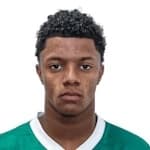 Victor Gabriel Leite dos Santos