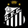 Santos logo