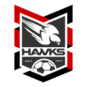 Holland Park Hawks logo