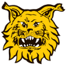 Ilves logo