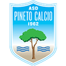 Pineto logo