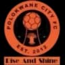 Polokwane City logo