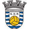 GD Resende logo
