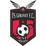 TS Galaxy logo