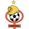 Cobresal logo