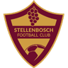 Stellenbosch logo