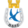 Dungannon Swifts logo