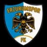 Erzurumspor FK logo