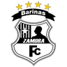 Zamora logo
