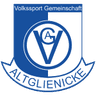 VSG Altglienicke logo