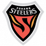Pohang Steelers logo
